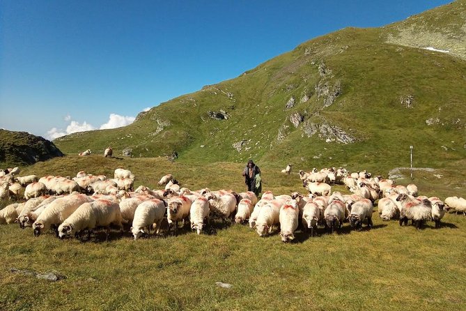 Expedition in Fagaras Mountains from Brasov (Private Tour!) - What Makes This Fagaras Expedition Special From Brasov