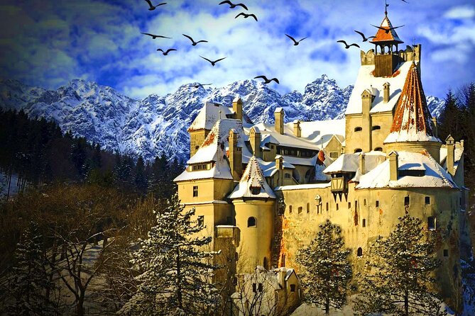 Explore Transylvania: Dracula, Peles Castle & Brasov Private Tour - A Private Transylvania Day Trip From Bucharest, Without the Chaos
