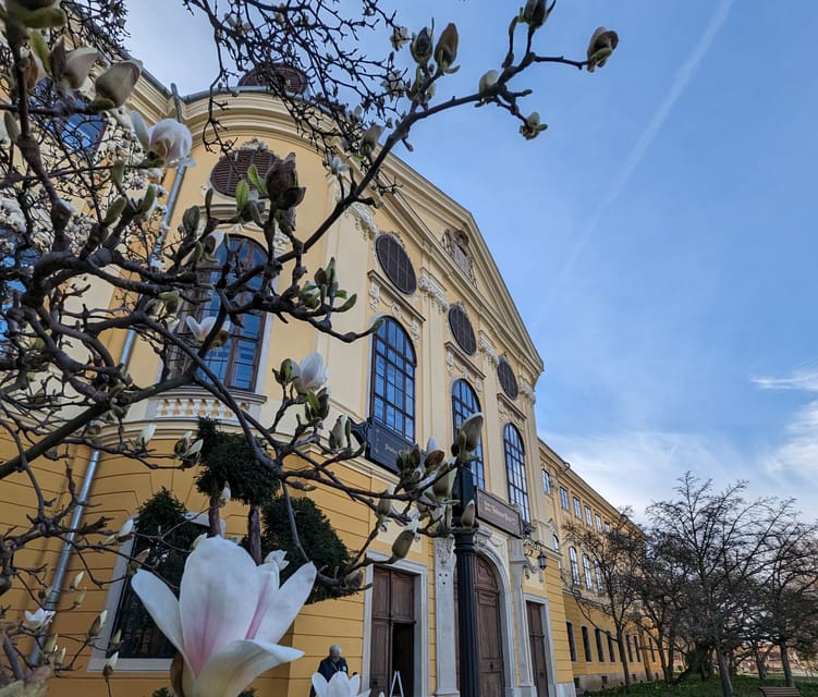 Food, Wine And Sightseeing Tour in Oradea, Romania - Quick hits