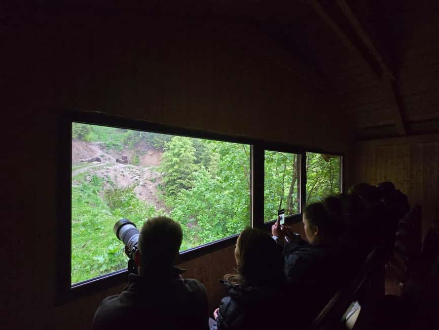 From Brasov: Bear Watching in the Wild - Itinerary timing: what to plan for in real life