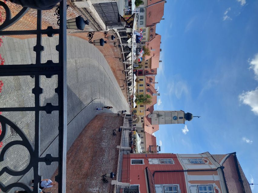 From Brasov: Corvin Castle and Sibiu (Optional Sighisoara) - What your guide helps you notice at Corvin Castle