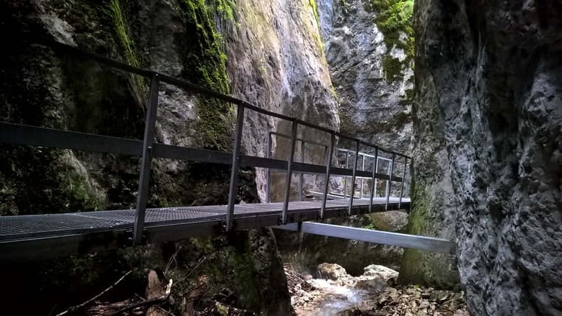 From Brasov: Day Trip to the Seven Ladders Canyon - How the 4-Hour Brasov Pickup Sets the Tone