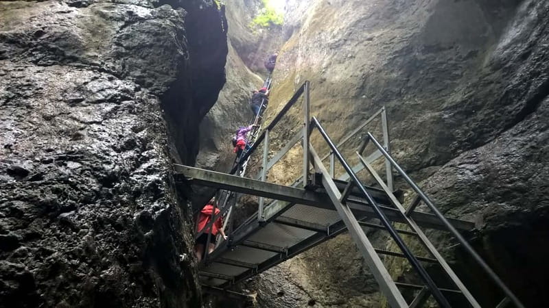 From Brasov: Day Trip to the Seven Ladders Canyon - Seven Ladders Canyon, Crossing Metal and Catching Waterfall Light
