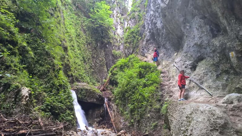 From Brasov: Day Trip to the Seven Ladders Canyon - Who This Day Trip Works For, and Who Should Rethink It