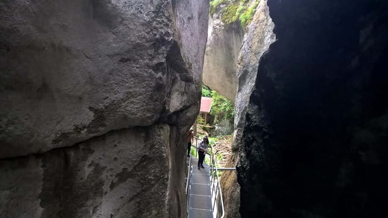 From Brasov: Day Trip to the Seven Ladders Canyon - Piatra Mare Forest Walk, Easy Steps Before the Ladders
