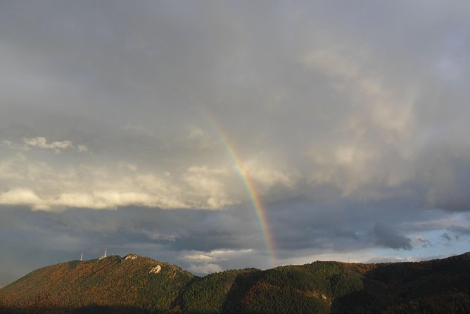 From Brasov: Discover Bran Castle and Râșnov Fortress - How the Brasov pickup keeps this day trip easy