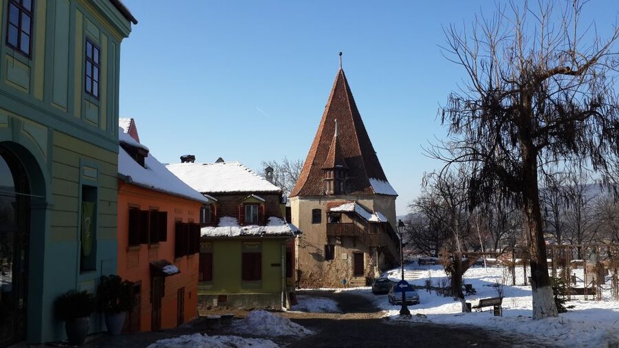 From Brasov: Guided Sighisoara and Sibiu Private Day Trip - Guide quality: what you can learn from real feedback