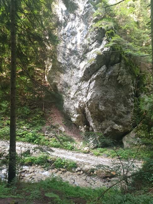 From Brasov : Hiking in Piatra Craiului National Park - Key things to know before you go