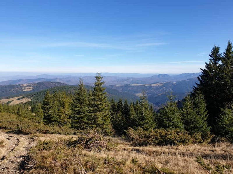 From Brasov : Hiking in Piatra Craiului National Park - Who should book this hike, and who should skip it