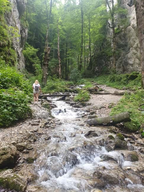 From Brasov : Hiking in Piatra Craiului National Park - Zarnesti Gorge: the signature views on the uphill