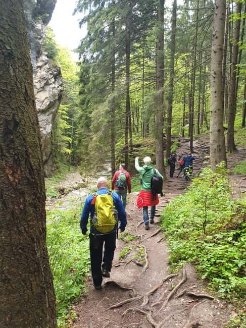 From Brasov : Hiking in Piatra Craiului National Park - Curmatura Chalet at 1470 m, the viewpoint break you will remember