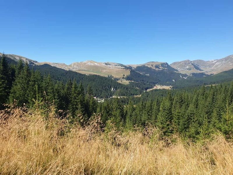 From Brasov : Hiking in Piatra Craiului National Park - The forest descent back to civilization, on narrower paths