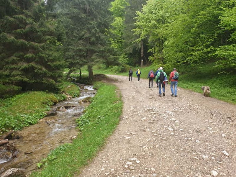 From Brasov : Hiking in Piatra Craiului National Park - What to bring for 5 hours of trail time