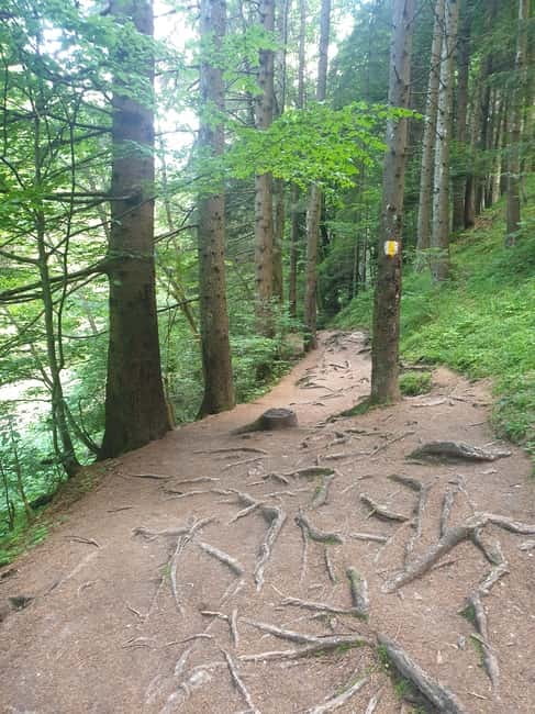 From Brasov : Hiking in Piatra Craiului National Park - Food and value: what is included, and what you should plan