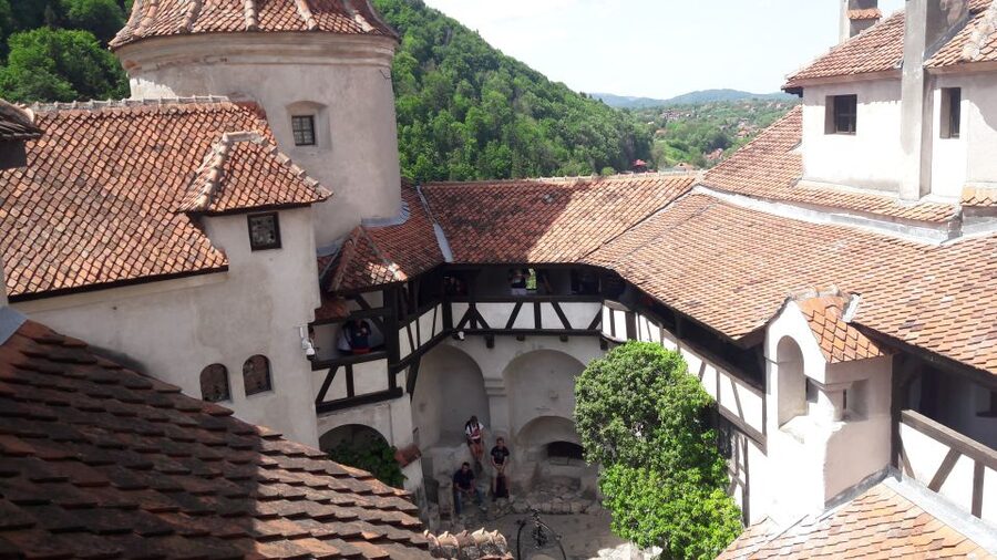 From Brasov: Peles Castle, Bran Castle & Cantacuzino Castle - The Mercedes V-Class pickup, and why it matters on a long day