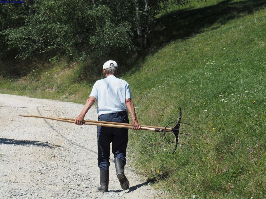 From Brasov: Piatra Craiului National Park 2-Day Guided Trek - Why Piatra Craiului feels special from Brasov