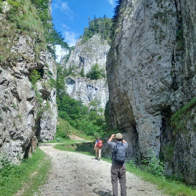 From Brasov: Piatra Craiului National Park 2-Day Guided Trek - Overnight in Pstera: local guesthouse dinner, ensuite comfort, and recovery