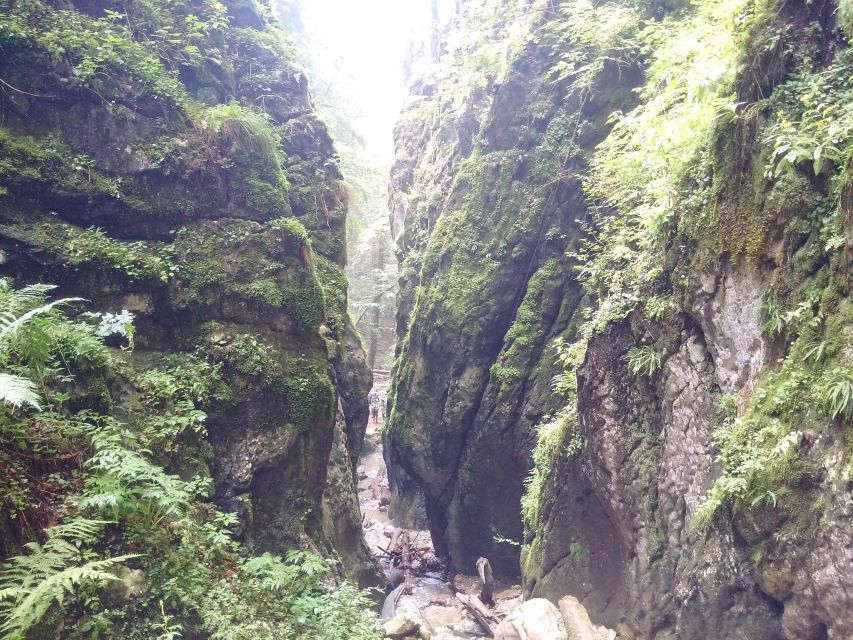 From Brasov: Piatra Craiului National Park 2-Day Guided Trek - Price and value: is $436 per person fair for two days?