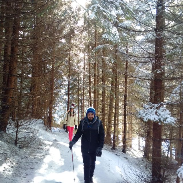 From Brasov: Piatra Craiului National Park Private Day Tour - Why Piatra Craiului feels special from Brașov