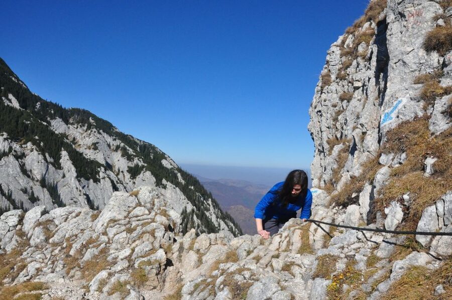 From Brasov: Piatra Craiului National Park Private Day Tour - Two route options, 5 to 6 hours of walking, and real variety