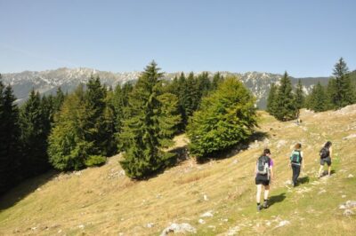 Piatra Craiului National Park Private Day Tour