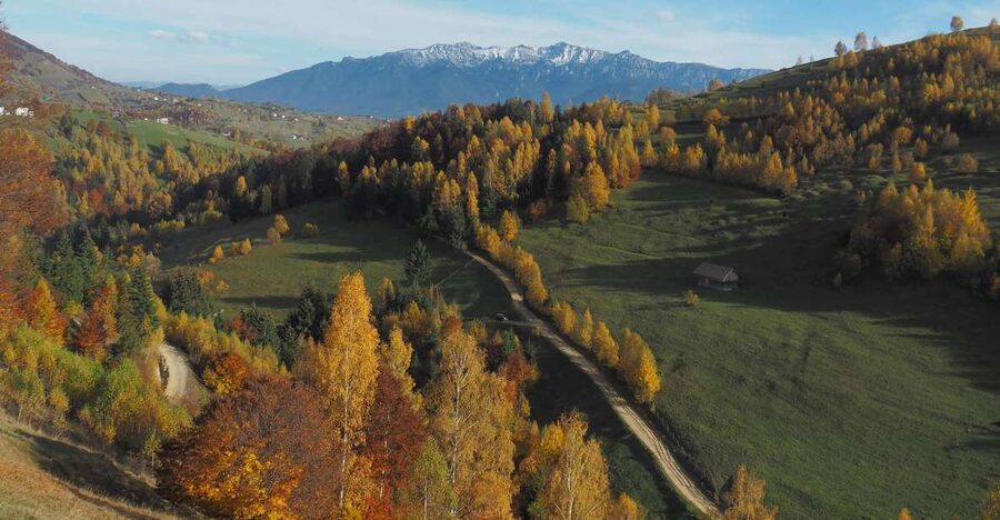 From Brasov: Romanian Mountain Villages Day Tour - Bat Cave: Bats, Limestone, and Tears of the Earth