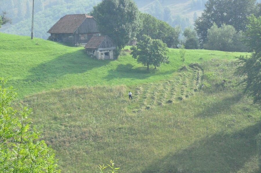 From Brasov: Romanian Mountain Villages Day Tour - Price and Logistics: What You’re Actually Paying For