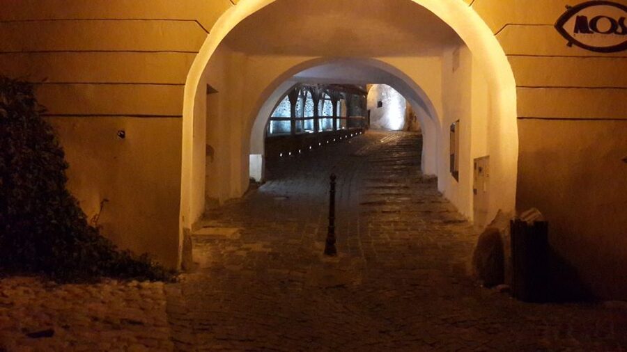 From Brasov: Sighisoara and Viscri UNESCO Day Tour - Lunch and meals: plan for extra cost and choose your pace