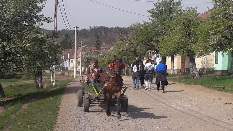From Brasov: Sighisoara, Viscri, and Rupea Unesco Day Trip - Should you book this day trip from Brașov?