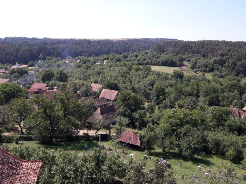 From Brasov: Sighisoara, Viscri, and Rupea Unesco Day Trip - Rupea Citadel, where Saxon defense strategy becomes real