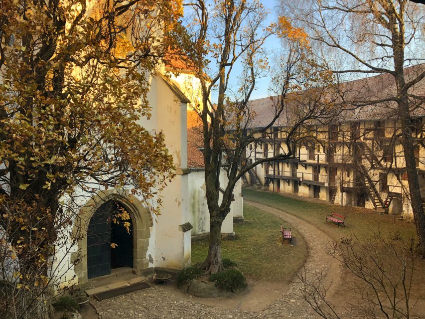 From Brasov: Small-Group Half-Day Fortified Churches Tour - Safrano Palace start: how the small-group format keeps it worthwhile