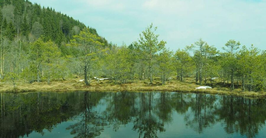 From Brasov: Small-Group Volcanic Lake Day Trip - The drive from Brasov to Saint Ana Lake, and why timing feels quick