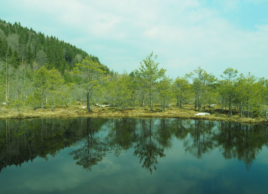 From Brasov: Small-Group Volcanic Lake Day Trip - Mohos peat bog in a second crater: wildlife you can actually spot