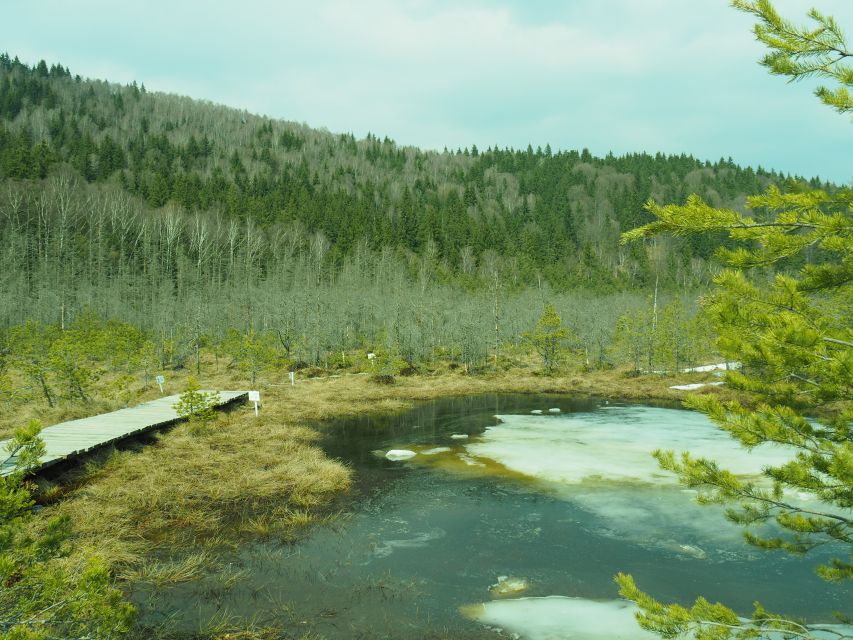From Brasov: Small-Group Volcanic Lake Day Trip - Who this volcanic lake day trip suits best
