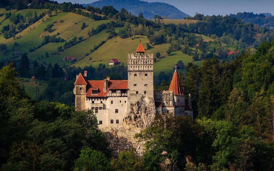 From Brasov: Tour of Castles and Surrounding Area - Timing, ticket lines, and what the tour does for you