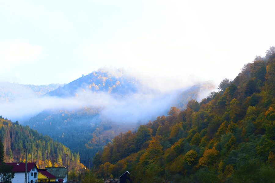 From Bucharest: Bear Sanctuary and 7 Ladders Canyon Day Trip - Key highlights you will feel immediately