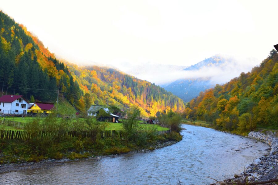 From Bucharest: Bear Sanctuary and 7 Ladders Canyon Day Trip - 7 Ladders Canyon (7 Scări Canyon): the thrill is literal