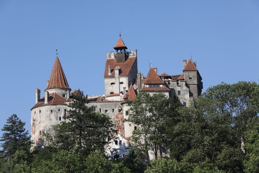 From Bucharest: Bear Sanctuary and Dracula Castle Day Tour - Lunch in Romania: what to expect and how to budget it
