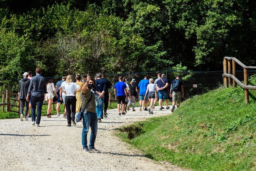 From Bucharest: Bear Sanctuary and Dracula Castle Day Tour - Libearty Bear Sanctuary Zarnesti: bears living freely, not on display