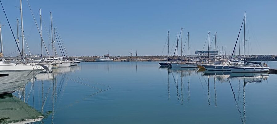 From Bucharest: Black Sea Constanța Day Tour - Should you book the Bucharest to Constanța and Mamaia day tour?
