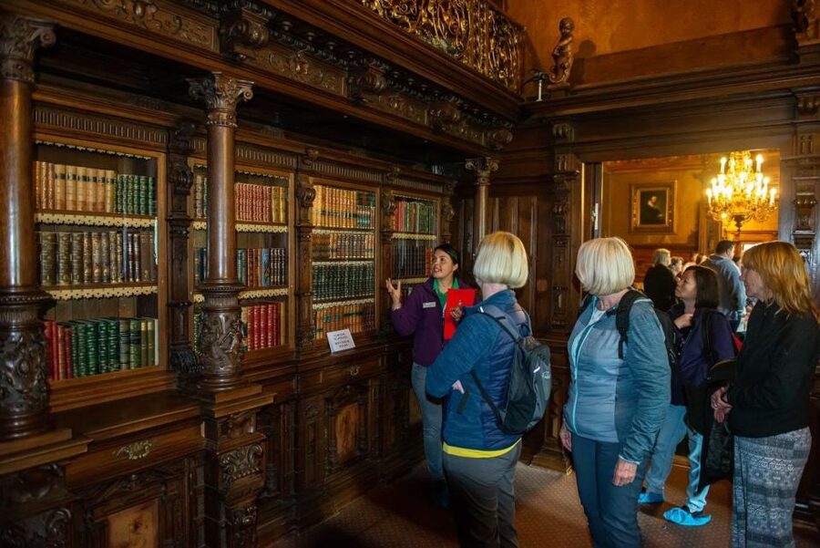 From Bucharest: Brasov Peles & Dracula's Castle Day Tour - Small-group energy, guides, and hearing the stories