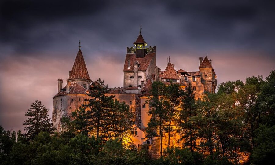 From Bucharest: Day Trip to Dracula and Peles Castle - The Ride Experience: Panoramic Roofs, DVD System, and Real Comfort