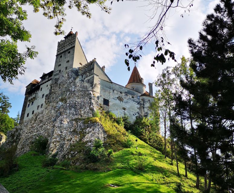 From Bucharest: Dracula Castle Day Trip - Live guide quality: why Angelica and Bogdan-style pacing matters