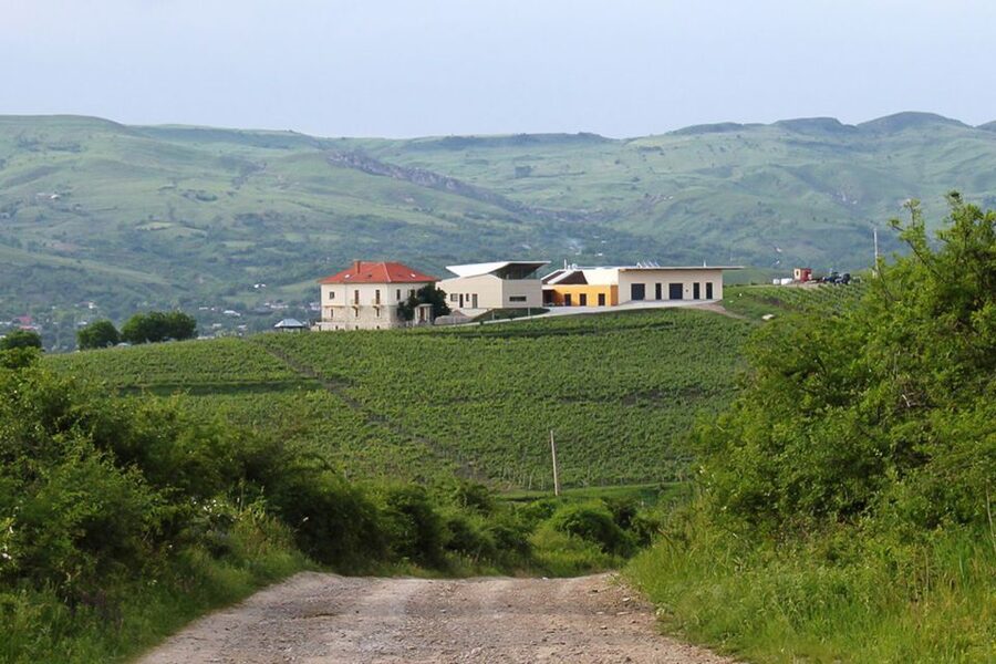 From Bucharest: Exclusive Dealu Mare Wine Tasting Tour - Stop 1: Lacerta Winery, modern equipment and gravitational winemaking