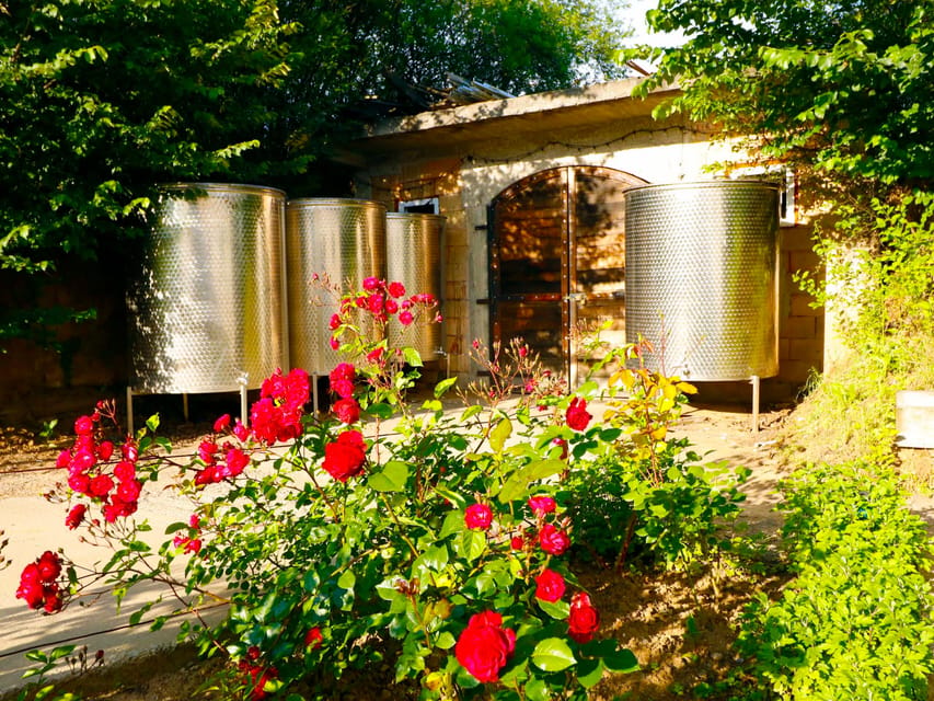 From Bucharest: Exclusive Dealu Mare Wine Tasting Tour - Food, timing, and the one practical thing to plan for