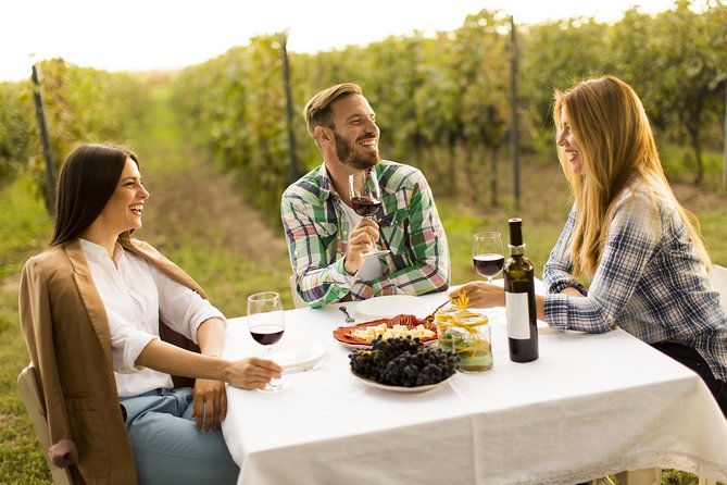 From Bucharest: Exclusive Wine Tasting Tour in Dealu Mare - Key highlights to know before you go
