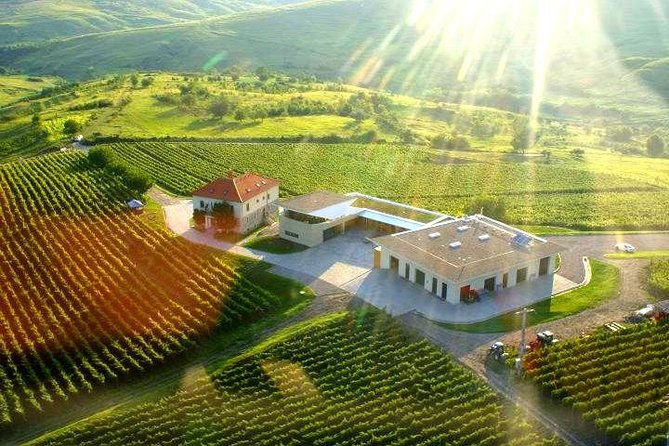 From Bucharest: Exclusive Wine Tasting Tour in Dealu Mare - Dealu Mare, a wine region that really fits in your day