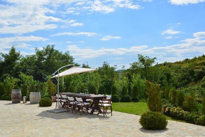 From Bucharest: Exclusive Wine Tasting Tour in Dealu Mare - How the 12-wine tastings and pairings play out