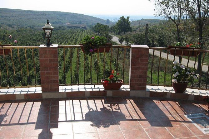 From Bucharest: Exclusive Wine Tasting Tour in Dealu Mare - Who this tour is best for