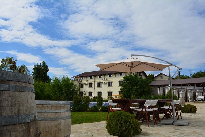 From Bucharest: Exclusive Wine Tasting Tour in Dealu Mare - Should you book this Dealu Mare wine tour?